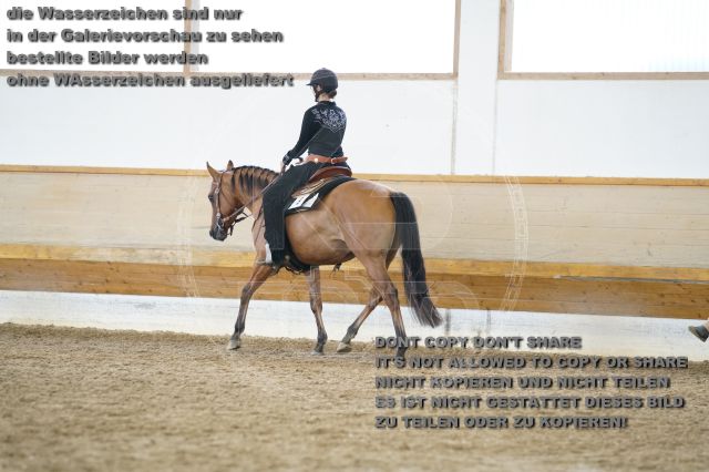 s_K3F01913.JPG